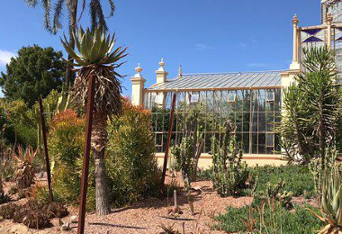 Adelaide Botanic Garden Popular Attractions Photos