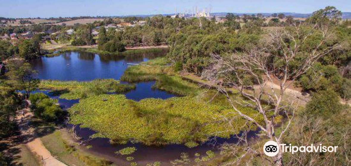 Traralgon Travel Guide 2023 Things to Do, What To Eat & Tips