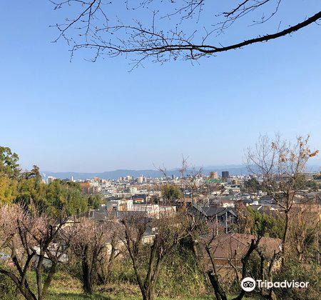 立田自然公園旅遊攻略指南 立田自然公園評價 立田自然公園附近推薦 Trip Com