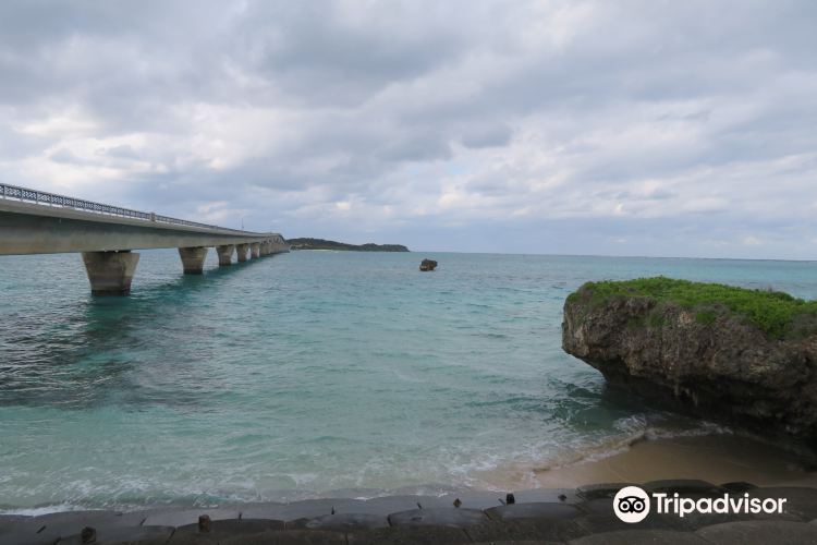 Sedo Bridge Travel Guidebook Must Visit Attractions In Sedo Bridge Nearby Recommendation Trip Com Sedo Bridge Travel Guidebook Must Visit Attractions In Sedo Bridge Nearby Recommendation Trip Com