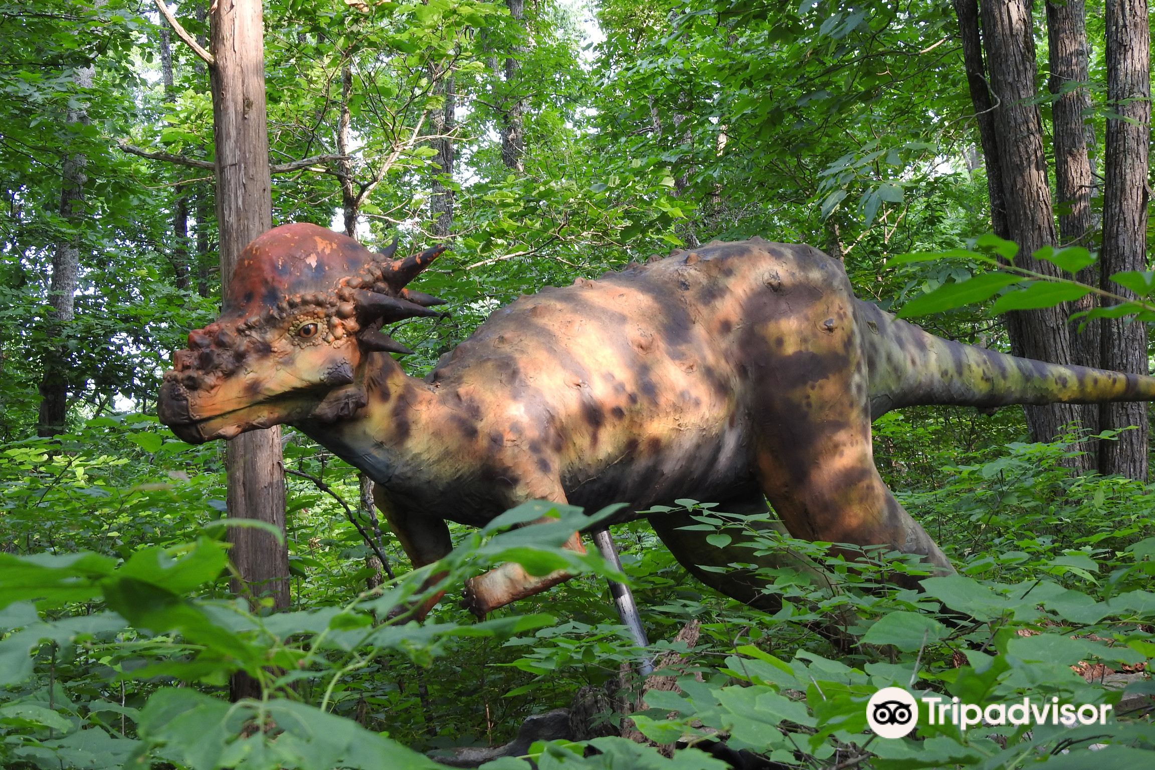 Backyard Terrors Dinosaur Park Travel Guidebook Must Visit Attractions In Sullivan County Backyard Terrors Dinosaur Park Nearby Recommendation Trip Com Backyard Terrors Dinosaur Park Travel Guidebook Must Visit Attractions In Sullivan County Backyard Terrors Dinosaur Park Nearby Recommendation Trip Com