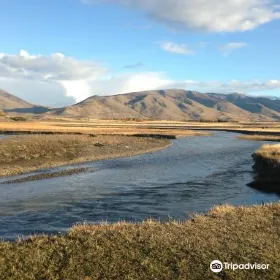 Calafate Fishing