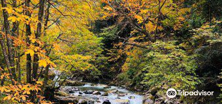 10 Best Things To Do In Kawaba Tone Kawaba Travel Guides 22 Trip Com