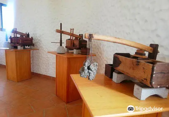 Museu do Cardina