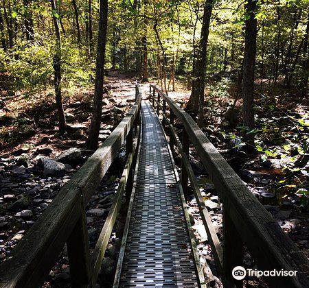 tripadvisor petit jean state park