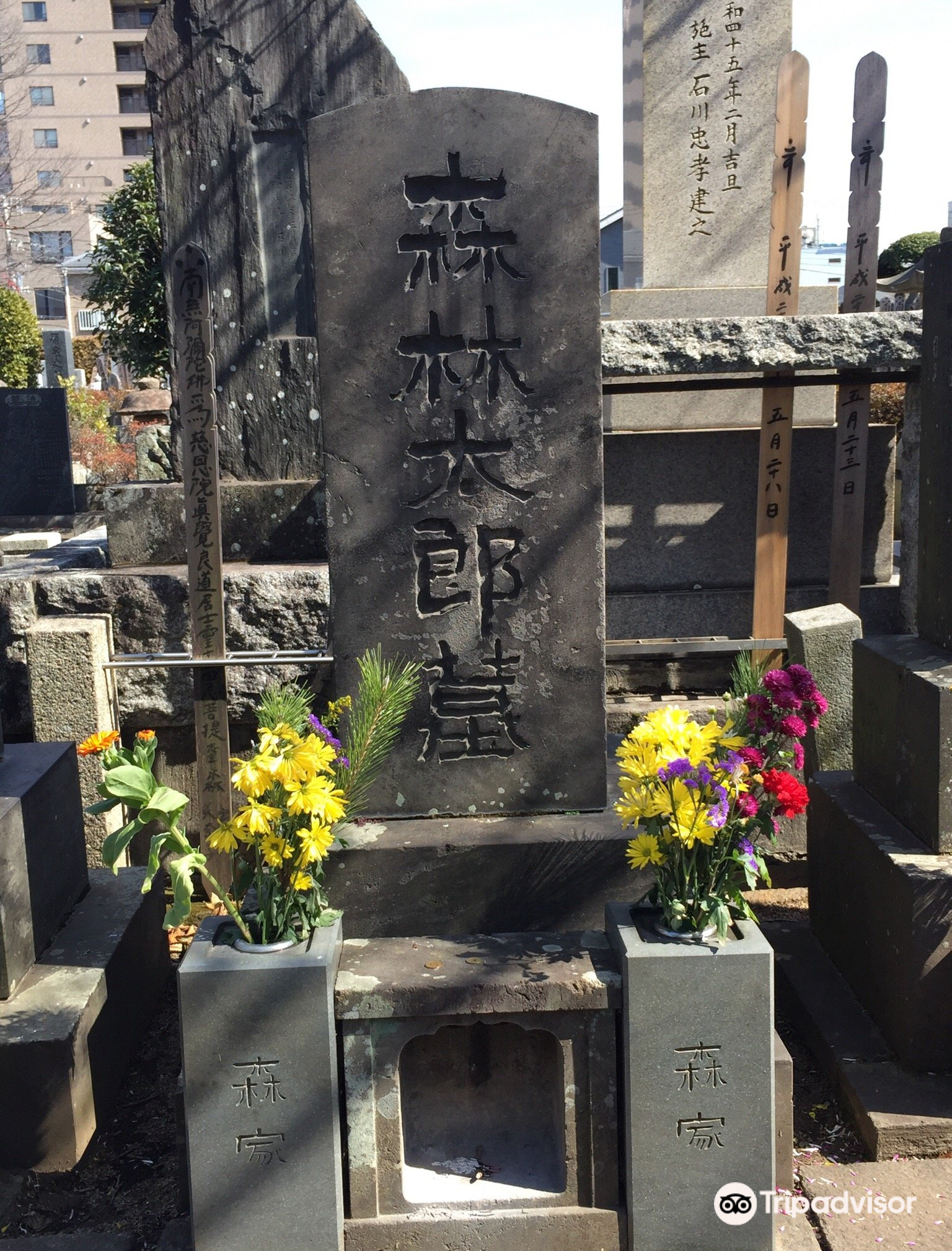 三鷹 森鴎外墓所 評判 案内 トリップドットコム 三鷹 森鴎外墓所 評判 案内 トリップドットコム