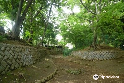 東京 世田谷城阯公園 評判 案内 トリップドットコム