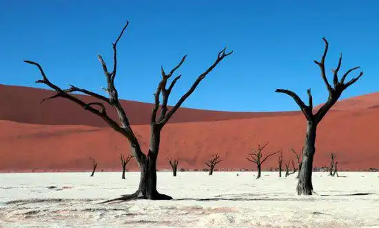 Hotels in Sossusvlei