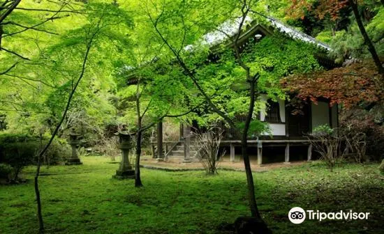 金藏寺旅遊攻略指南 金藏寺評價 金藏寺附近推薦 Trip Com 金藏寺旅遊攻略指南 金藏寺評價 金藏寺附近推薦 Trip Com