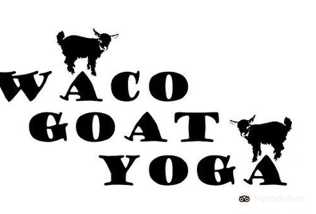 Waco Goat Yoga