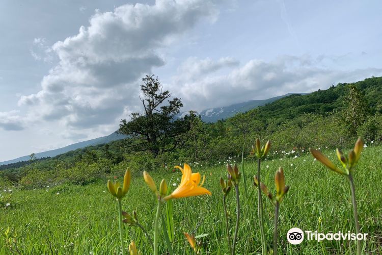 世界谷地原生花園旅遊攻略指南 世界谷地原生花園評論 世界谷地原生花園附近推薦 Trip Com