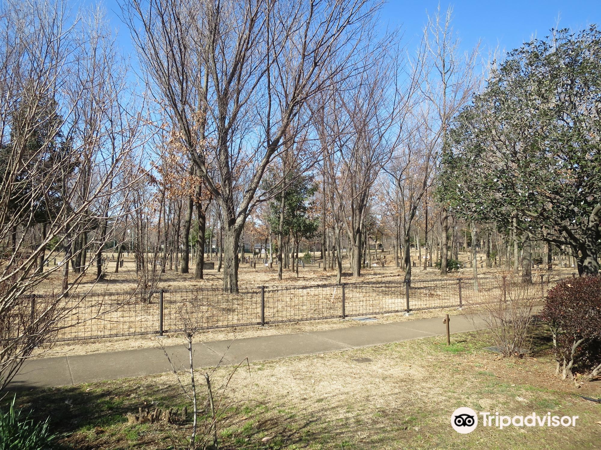 柏の宮公園のレビュー 柏の宮公園のチケット 柏の宮公園の割引 柏の宮公園の交通機関 所在地 営業時間 柏の宮公園周辺の観光スポット ホテル グルメ Trip Com