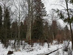 Sumarokovskaya Elk Farm