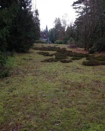Hôtels à proximité de : Cimetière de Stahnsdorf