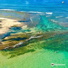 Coral Sanctuary
