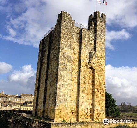 La Tour Du Chateau Du Roy Travel Guidebook Must Visit Attractions In Gironde La Tour Du Chateau Du Roy Nearby Recommendation Trip Com