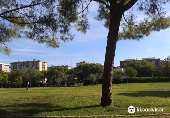 Parco 2 Giugno Travel Guidebook Must Visit Attractions In Bari Parco 2 Giugno Nearby Recommendation Trip Com Parco 2 Giugno Travel Guidebook Must Visit Attractions In Bari Parco 2 Giugno Nearby Recommendation Trip Com