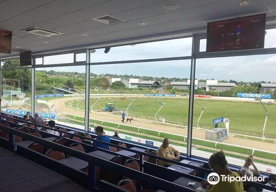 coral greyhound stadium , coral jobs near me coral greyhound stadium , coral jobs near me