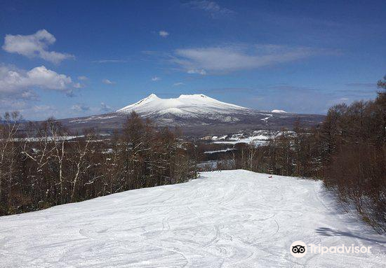 北海道 函館七飯スノーパーク 評判 案内 トリップドットコム