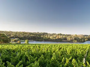 Sandalford Wines Margaret River