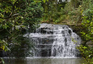 Gills Scenic Reserve รูปภาพAttractionsยอดนิยม