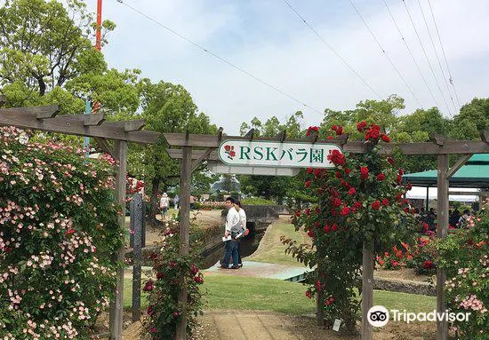 岡山 Rskバラ園 評判 案内 トリップドットコム