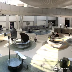 A Night at the Museum