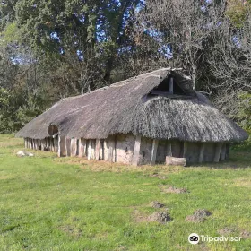 MoesgArd Museum