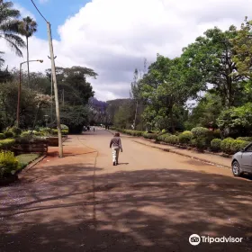 Nairobi City View