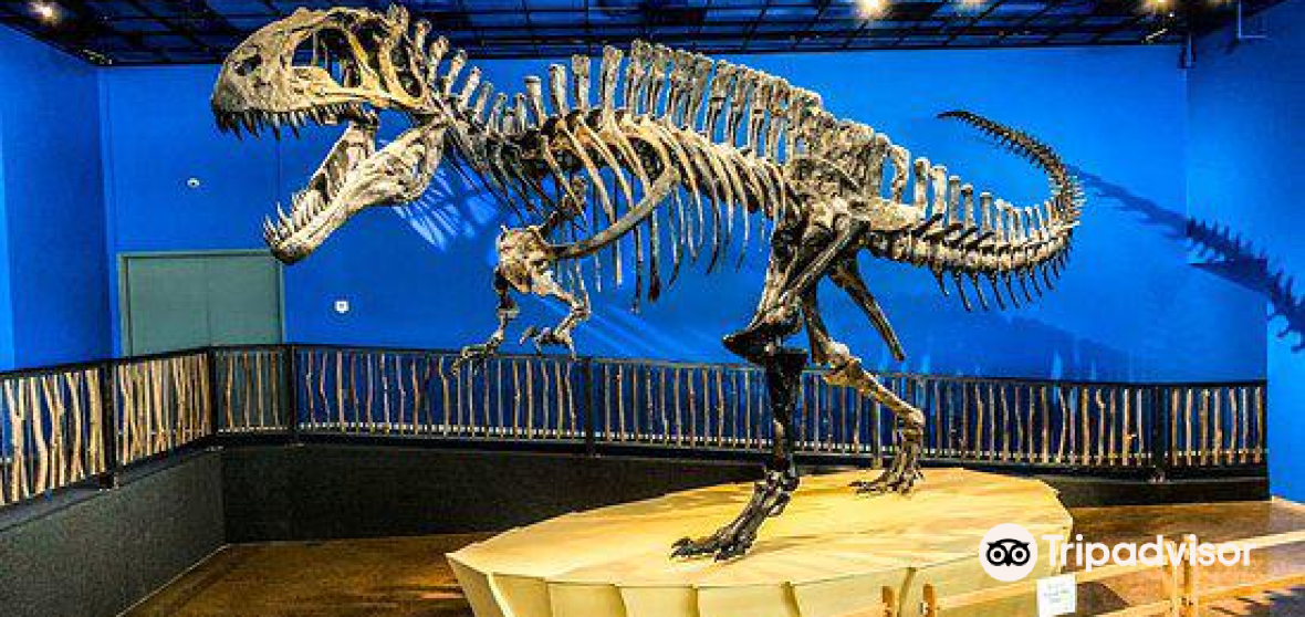 กิจกรรมน่าทำยอดนิยมในMcCurtain Countyประจำปี 2023 คู่มือท่องเที่ยว