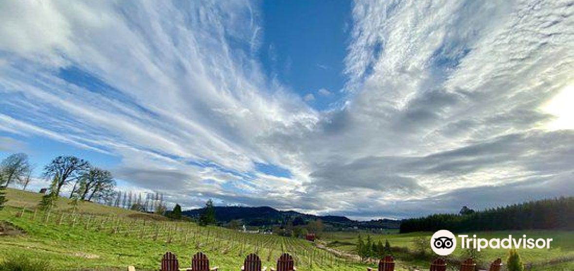 10 Best Things to do in Yamhill County, Oregon Yamhill County travel