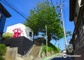 西海岸公園旅遊攻略指南 西海岸公園評價 西海岸公園附近推薦 Trip Com