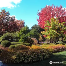 Japanese Garden