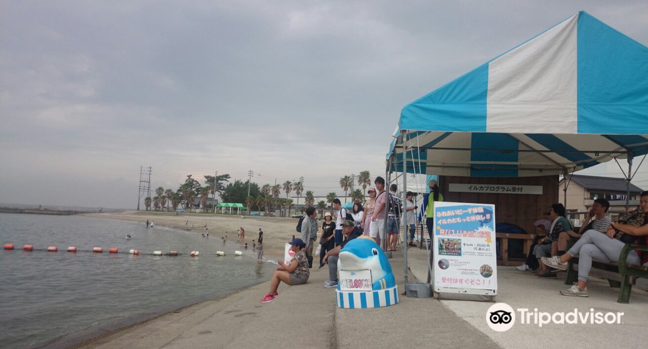 Himakajima Beach Attraction Reviews Himakajima Beach Tickets Himakajima Beach Discounts Himakajima Beach Transportation Address Opening Hours Attractions Hotels And Food Near Himakajima Beach Trip Com