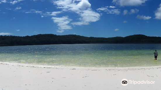 マッケンジー湖の写真 フレーザー島の観光スポットの写真 Tripメモリー