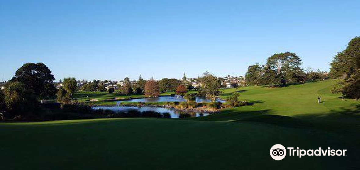 แนะนำการเดินทาง Mount Roskill 2023 สิ่งที่ควรทำ, อาหารที่ควรรับประทาน