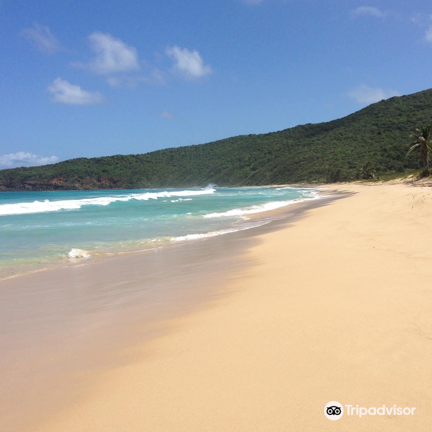 Tamarindo Beach Travel Guidebook Must Visit Attractions In Culebra Tamarindo Beach Nearby Recommendation Trip Com