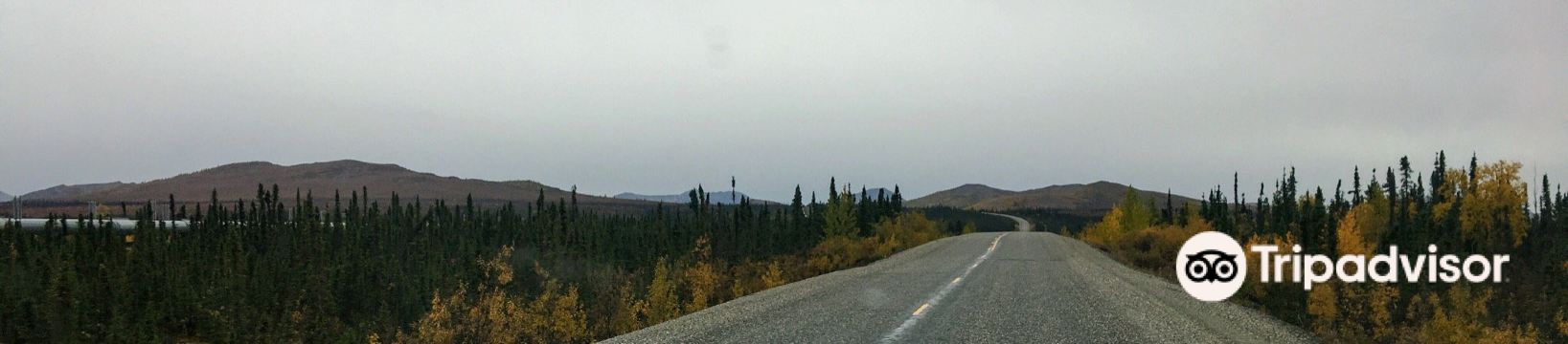 22年ユーコン コユカックの人気観光スポット ユーコン コユカックの旅行ガイド ユーコン コユカックのおすすめ観光スポットのチケット ホテル 楽しみ方 グルメ レストラン Trip Com