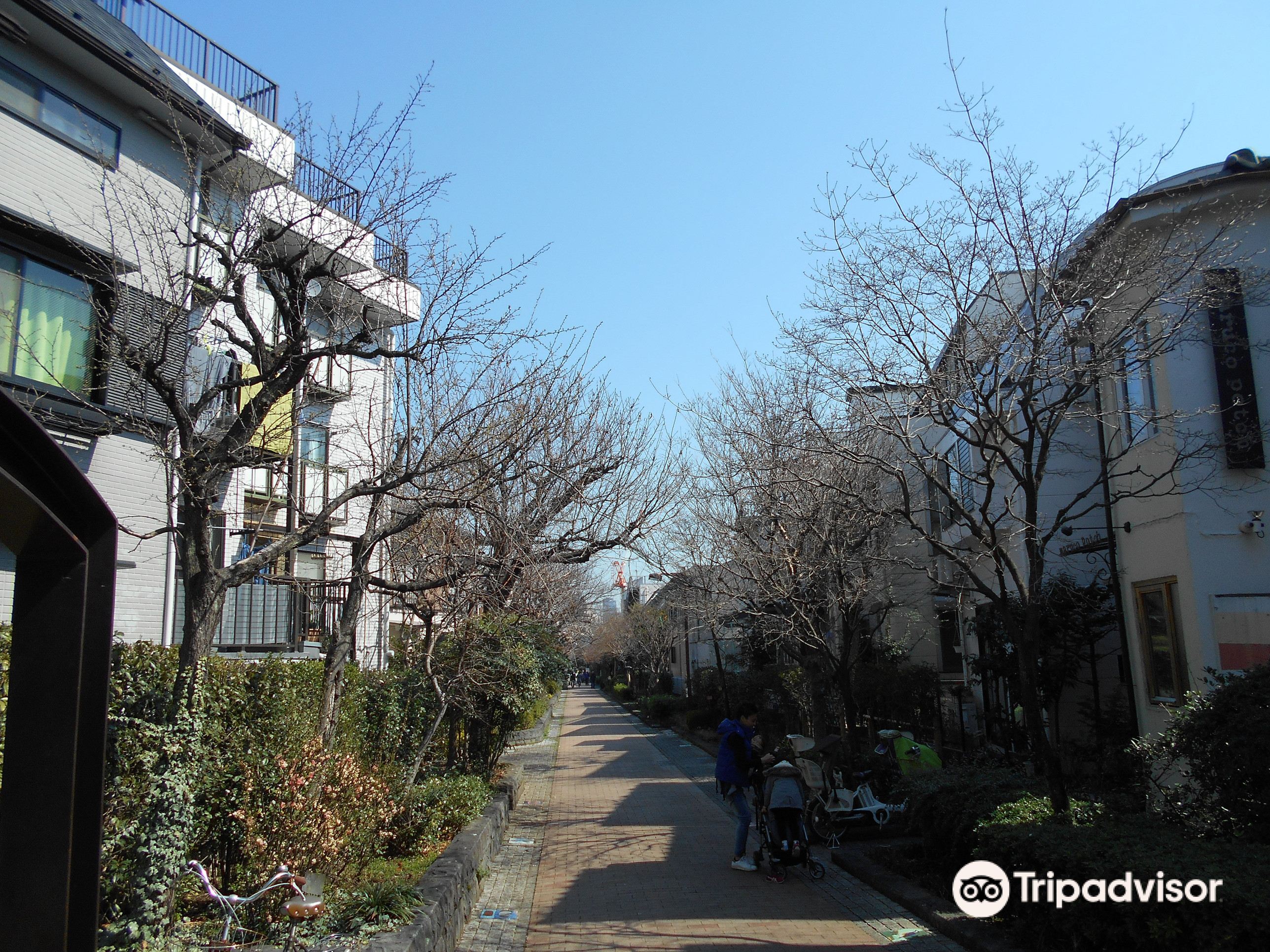 東京 烏山川緑道 評判 案内 トリップドットコム