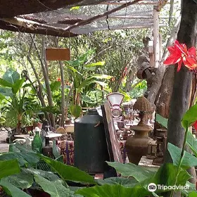Hummingbird Sanctuary