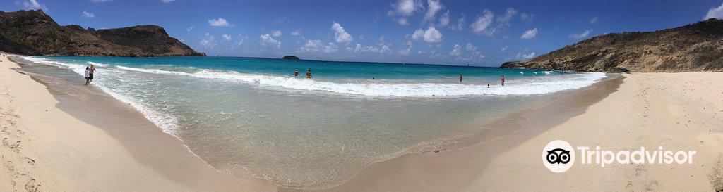 Grande Saline Beach / St Barts / The Caribbean // World Beach Guide