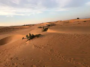 Lompoul Desert