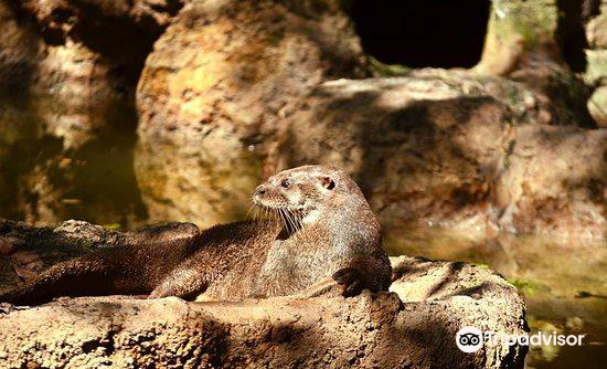 Zoologico De Barranquilla景點評價 Zoologico De Barranquilla門票 Zoologico De Barranquilla優惠 Zoologico De Barranquilla交通 地址 開放時間 Zoologico De Barranquilla附近景點 酒店及美食 Trip Com