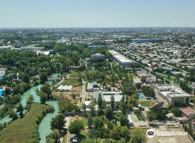 Тв ташкент. Телевизор Ташкентская область.