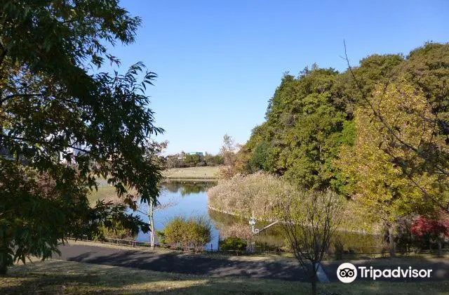 北総花の丘公園のレビュー 北総花の丘公園のチケット 北総花の丘公園の割引 北総花の丘公園の交通機関 所在地 営業時間 北総花の丘公園周辺の観光スポット ホテル グルメ Trip Com