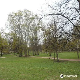 Observatory Hill (Tahtitorninmaki)