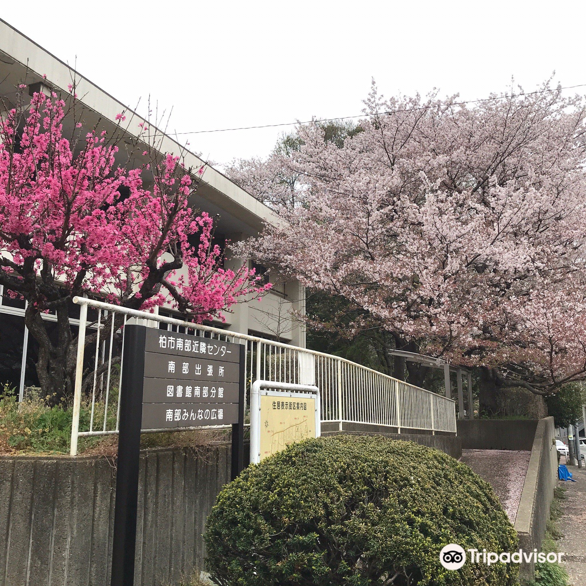 柏 南部公園 評判 案内 トリップドットコム