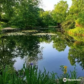 Alfred Caldwell Lily Pool
