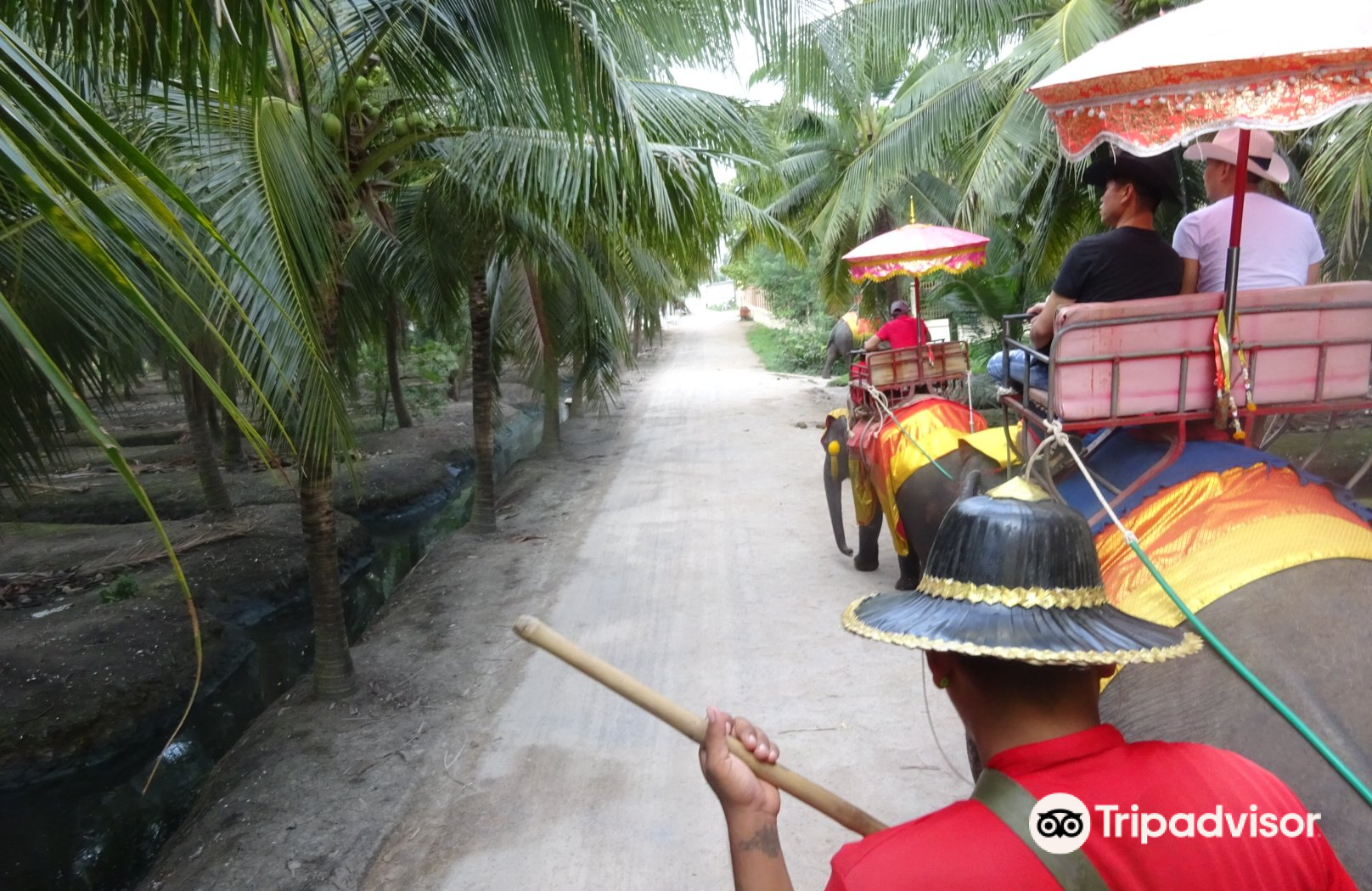 Chang Puak Camp Damnoensaduak Travel Guidebook Must Visit Attractions In Damnoen Saduak Chang Puak Camp Damnoensaduak Nearby Recommendation Trip Com Chang Puak Camp Damnoensaduak Travel Guidebook Must Visit Attractions In Damnoen Saduak Chang Puak Camp Damnoensaduak Nearby Recommendation Trip Com