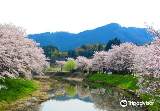 Matabeezakura Travel Guidebook Must Visit Attractions In Nara Matabeezakura Nearby Recommendation Trip Com